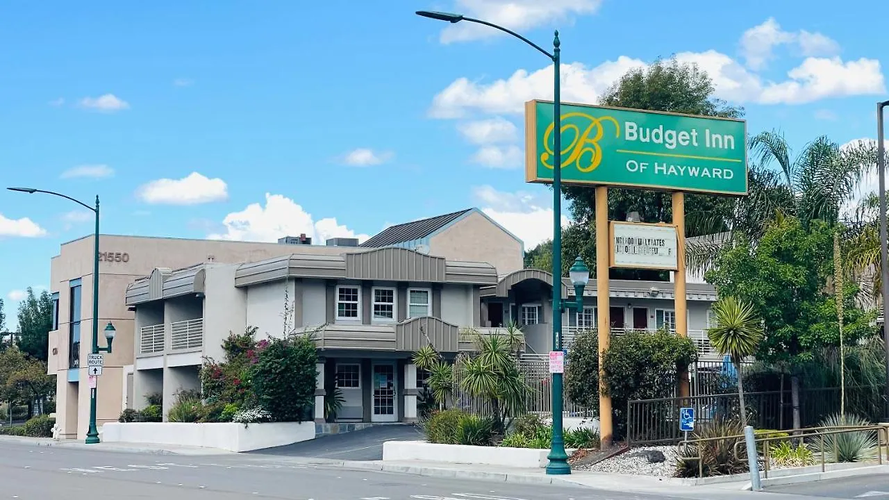 Staying Near Castro Village: 5 Budget Hotels Compared