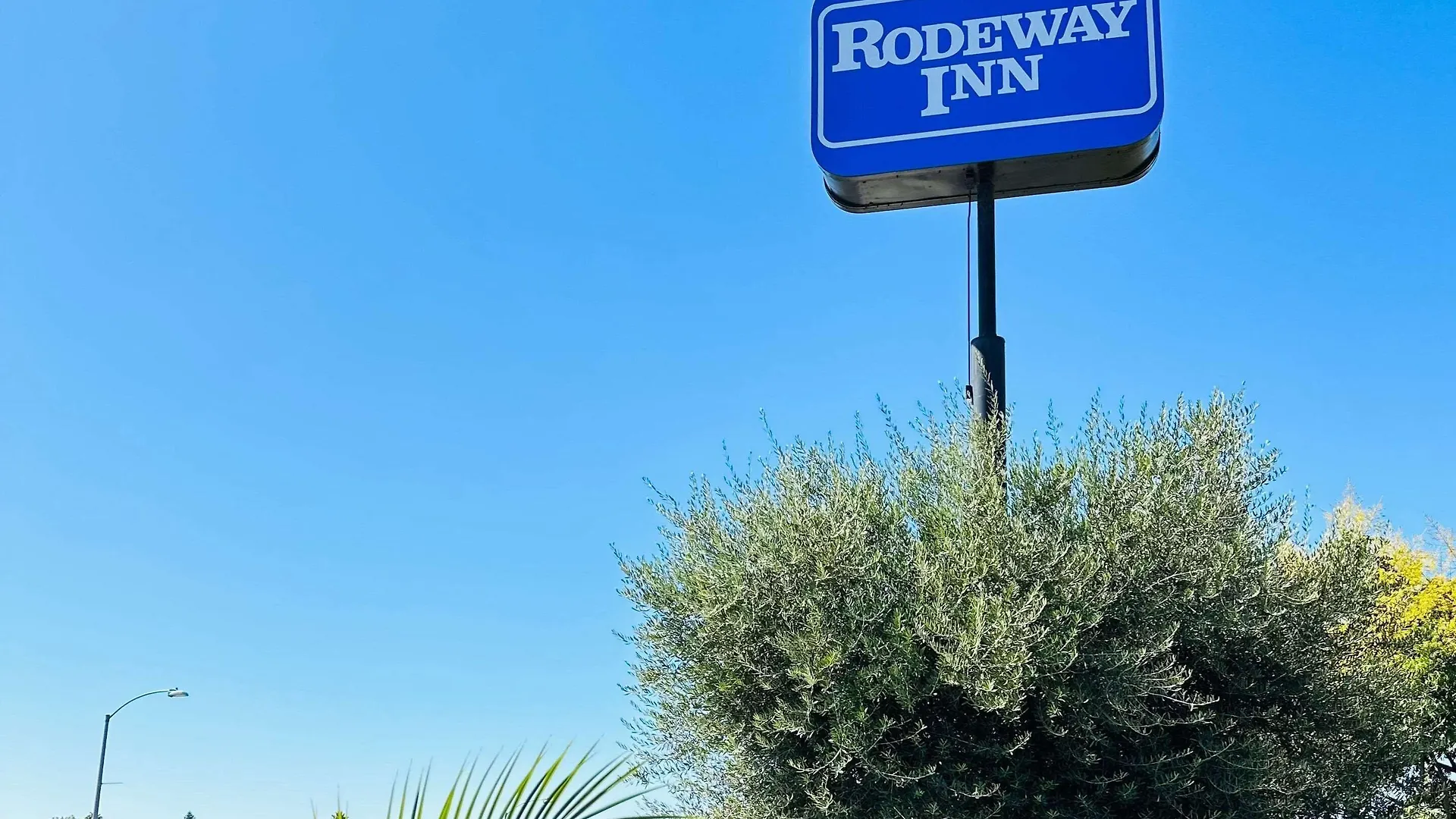 10 Smart Budget Hotels In San Diego Metropolitan Area Worth Booking